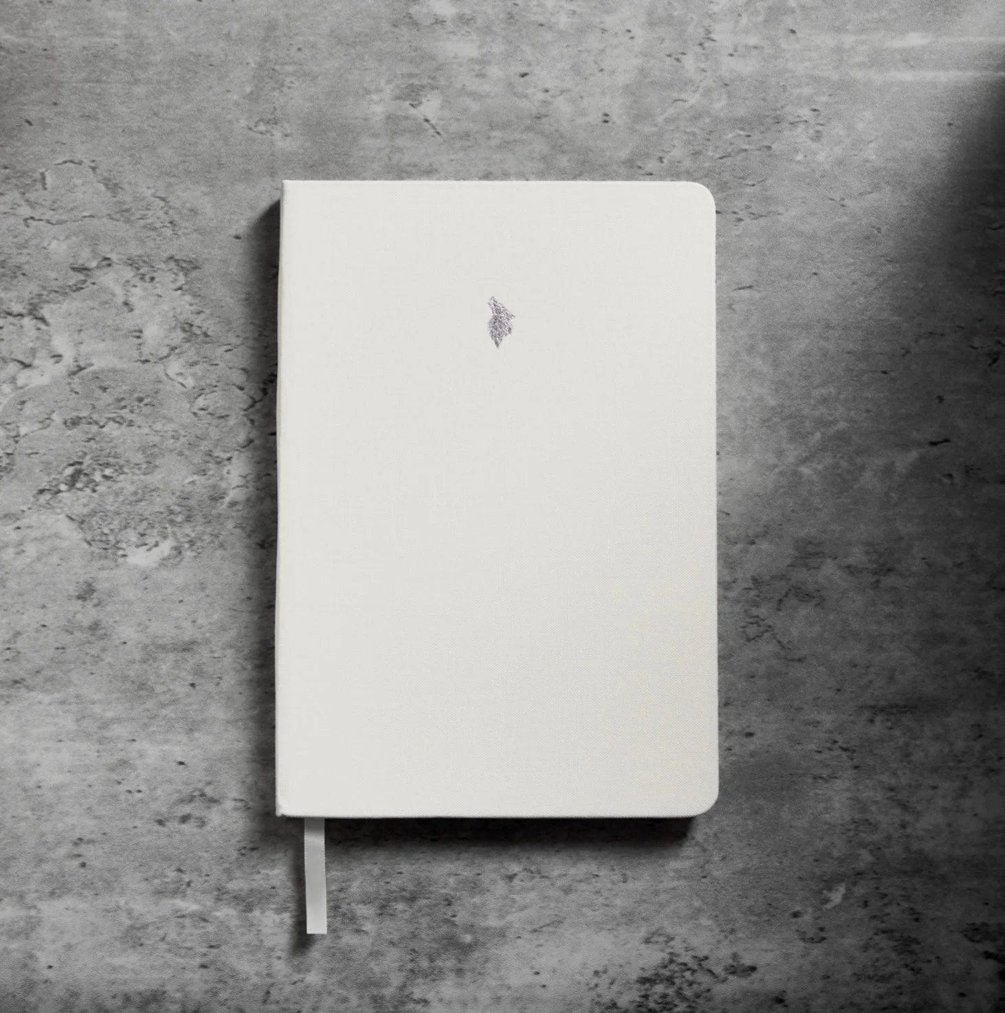 TSW Blank Notebook